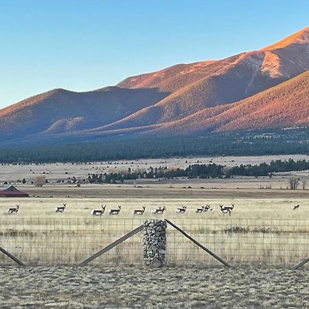 Buena Vista Mountain Retreat - Ultimate Privacy With Spa & Unbeatable Views Eksteriør bilde