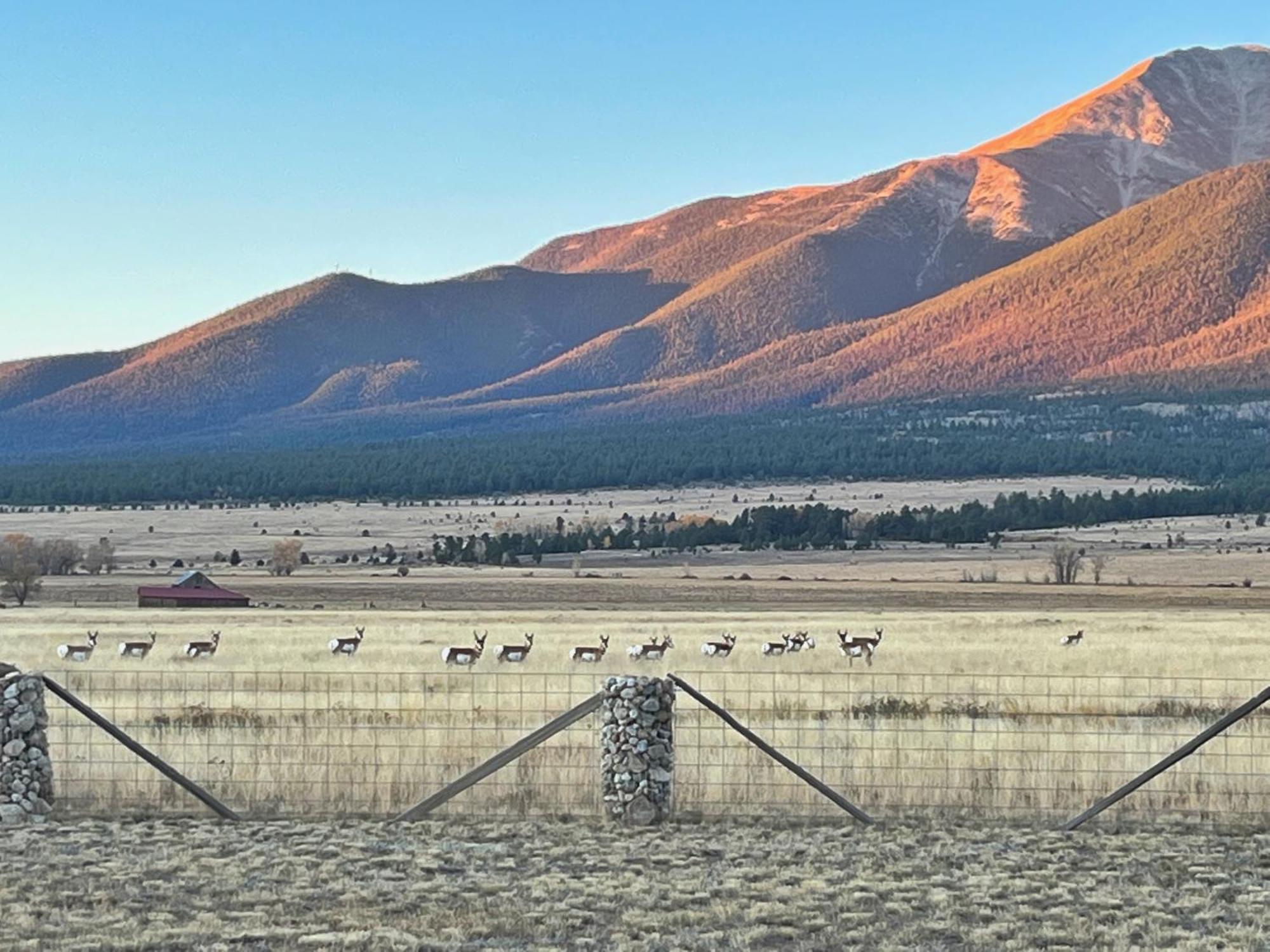 Buena Vista Mountain Retreat - Ultimate Privacy With Spa & Unbeatable Views Eksteriør bilde